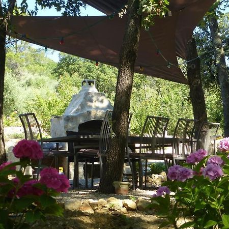 Le Vallon Des Oliviers Montauroux Buitenkant foto